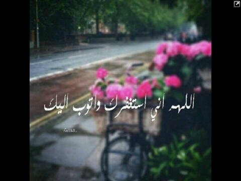 إن قلمي مبتداً ' لذلك يكتب كتابات المبتدئين  .. ✉