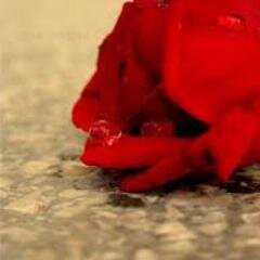 أفضل قراءة الاشعار وكتابة الخواطر أحب التجديد طموحه لاأقول عن نفسي خياليه بل لديً نظره مستقبليه .غامضه أحياناً. أسأل الله الثبات ولجميع المسلمين أذكروا الله