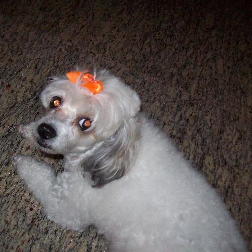 oprahswan's profile picture. Aquariana♒ que ama artesanato crochê...