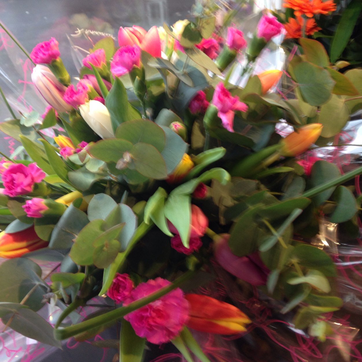 Funurals weddings seasonal plants best florist in town 1 portland square portland rd
Worthing bn14 7jw
London flower designer joining us
Market prices
Free l