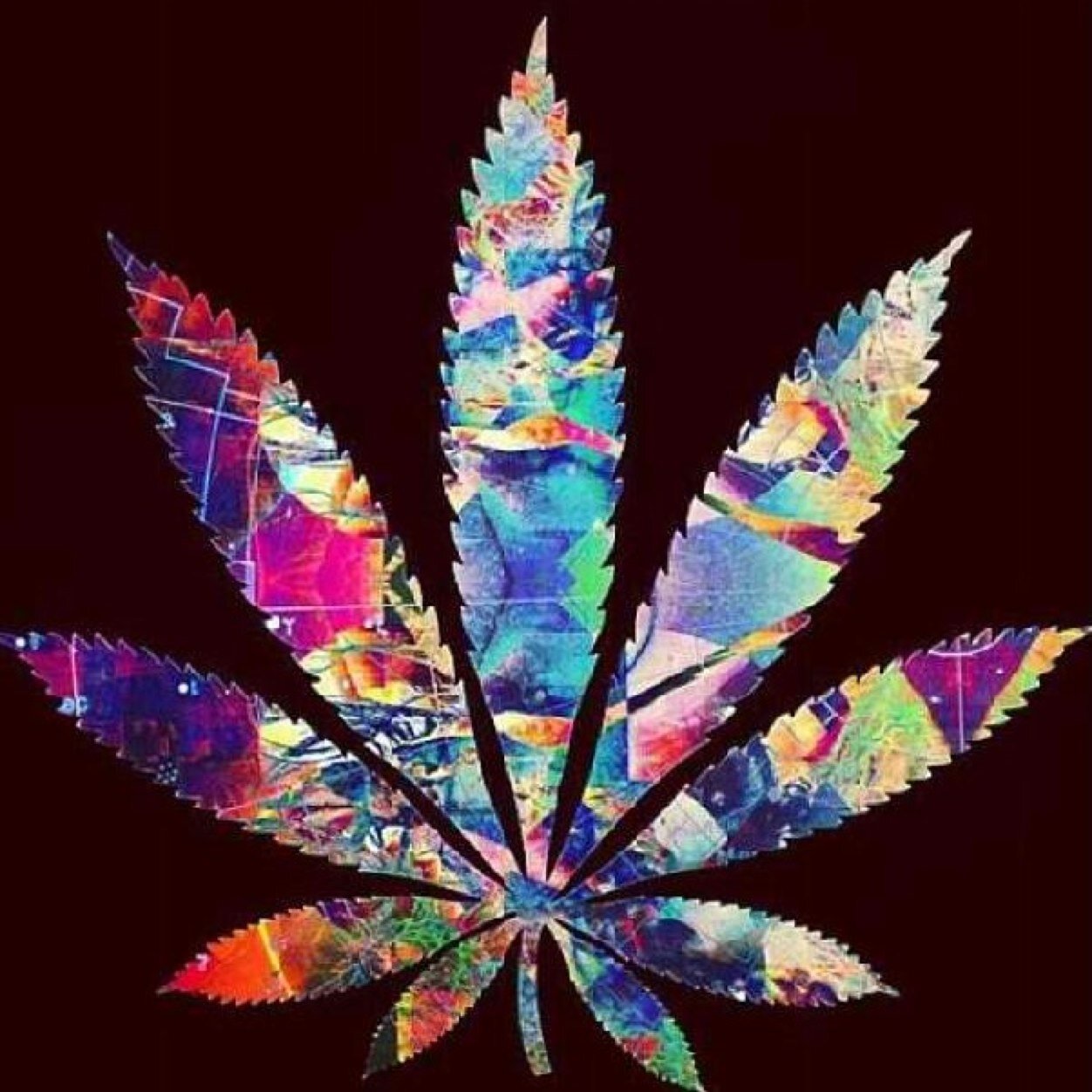 One good thing about music, when it hits you, you feel no pain.~ Bob Marley