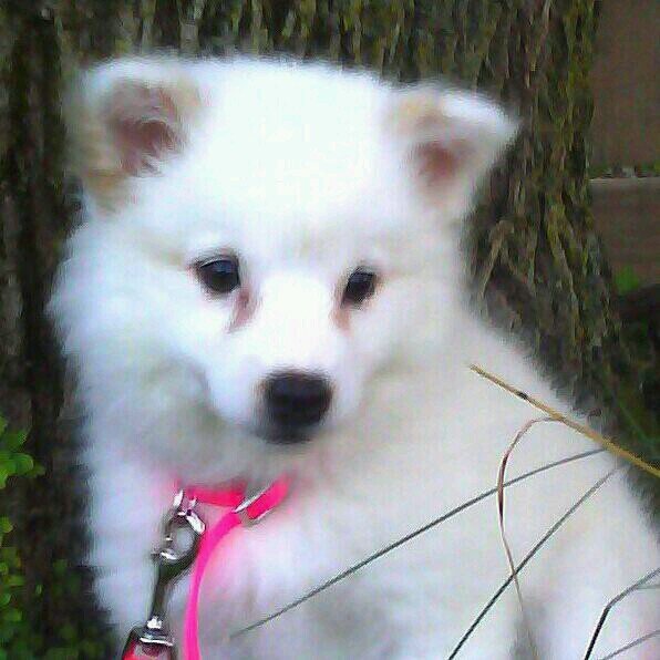 dd3382b056f54d6's profile picture. 