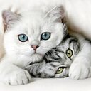 Nury Martinez A. - @nurymartinez7 - Twitter