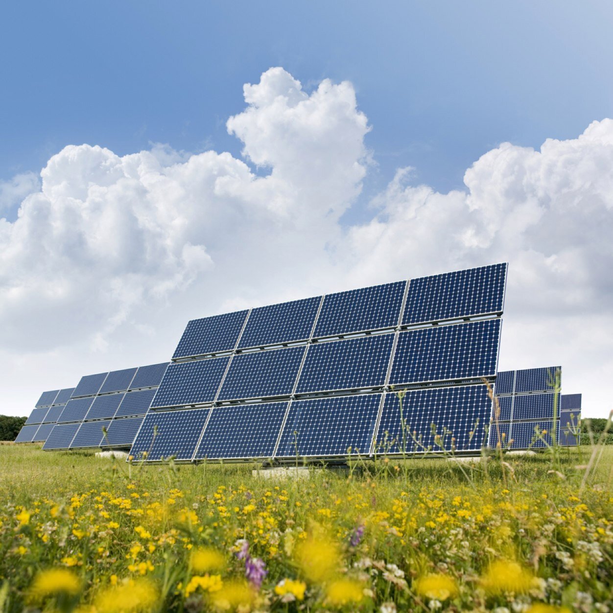 Solar energy is our future #gethyped
