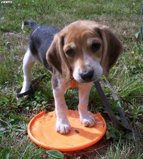 linda747's profile picture. 