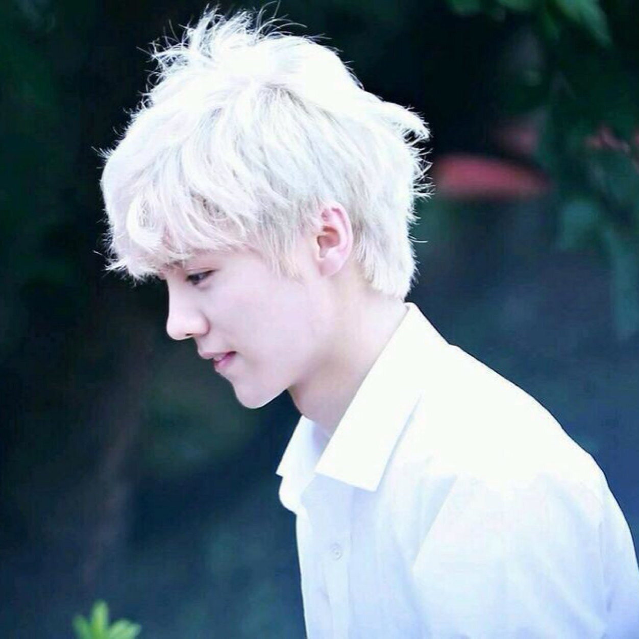 รักลู่หานเสมอ ถึงแม้ว่าจะไม่ได้เห็นพี่อีกแล้วบนเวทีต่อจากนี้..... มาจากแอด @Opalpiz ใช้ตอนลิมิต