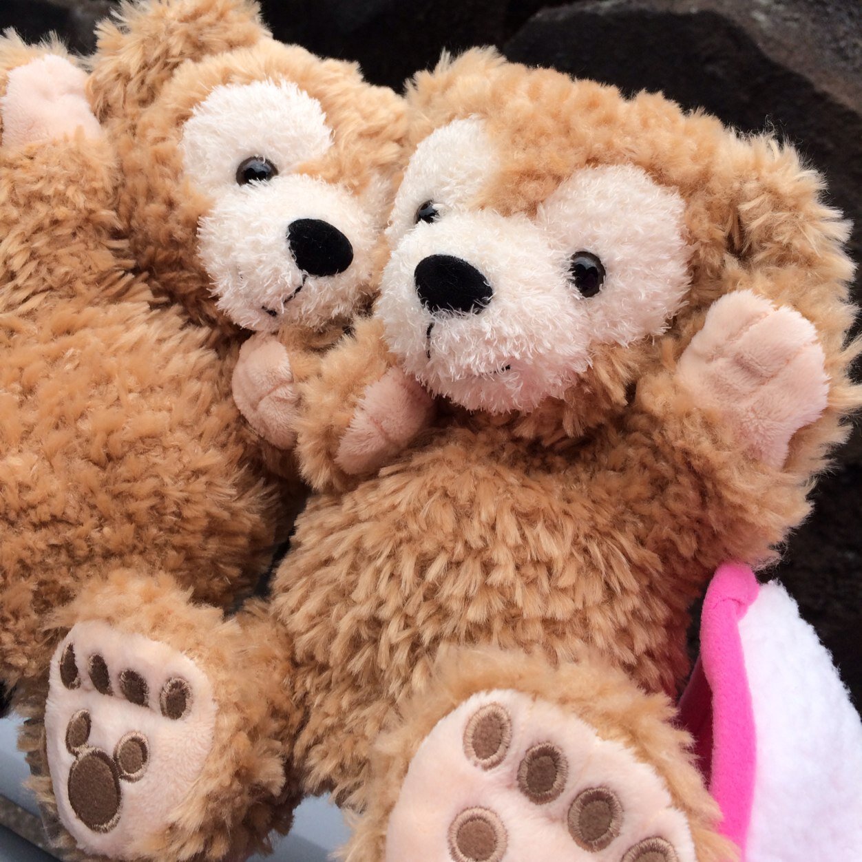 ikuco1's profile picture. 