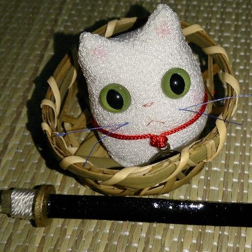 猫