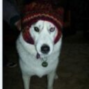 Lauren Rowell - @LaurenRowell8 - Twitter