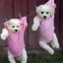 Cheryl Glover - @outbackcheryl - Twitter