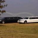 Terry Camp - @WallsLimoLady - Twitter