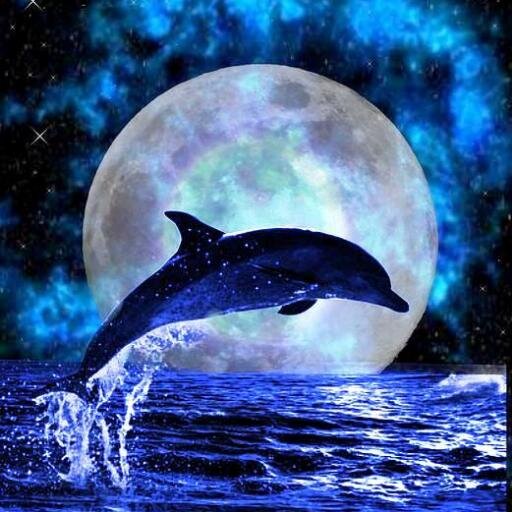 SparkleAWin's profile picture. If you have faith as a mustard seed . . . Nothing will be impossible for you —Matthew 17:20