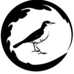 Contenidos que entretienen e inspiran, difunden causas que dan sentido a la vida, cuentan historias y dan visibilidad a individuos y organizaciones.