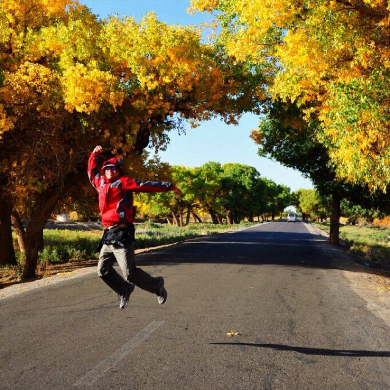 jiong1031's profile picture. 