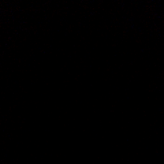 bobdude1122's profile picture. 