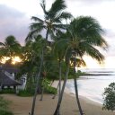 Sheila Thayer - @SheilaThayer2 - Twitter