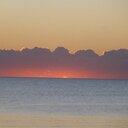 Nelson Walker - @nel_wal - Twitter