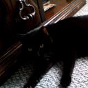 paul oates - @pauloates6 - Twitter