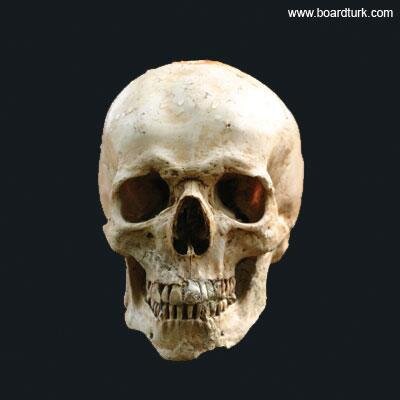 RecoDad's profile picture. cCc İnci cCc