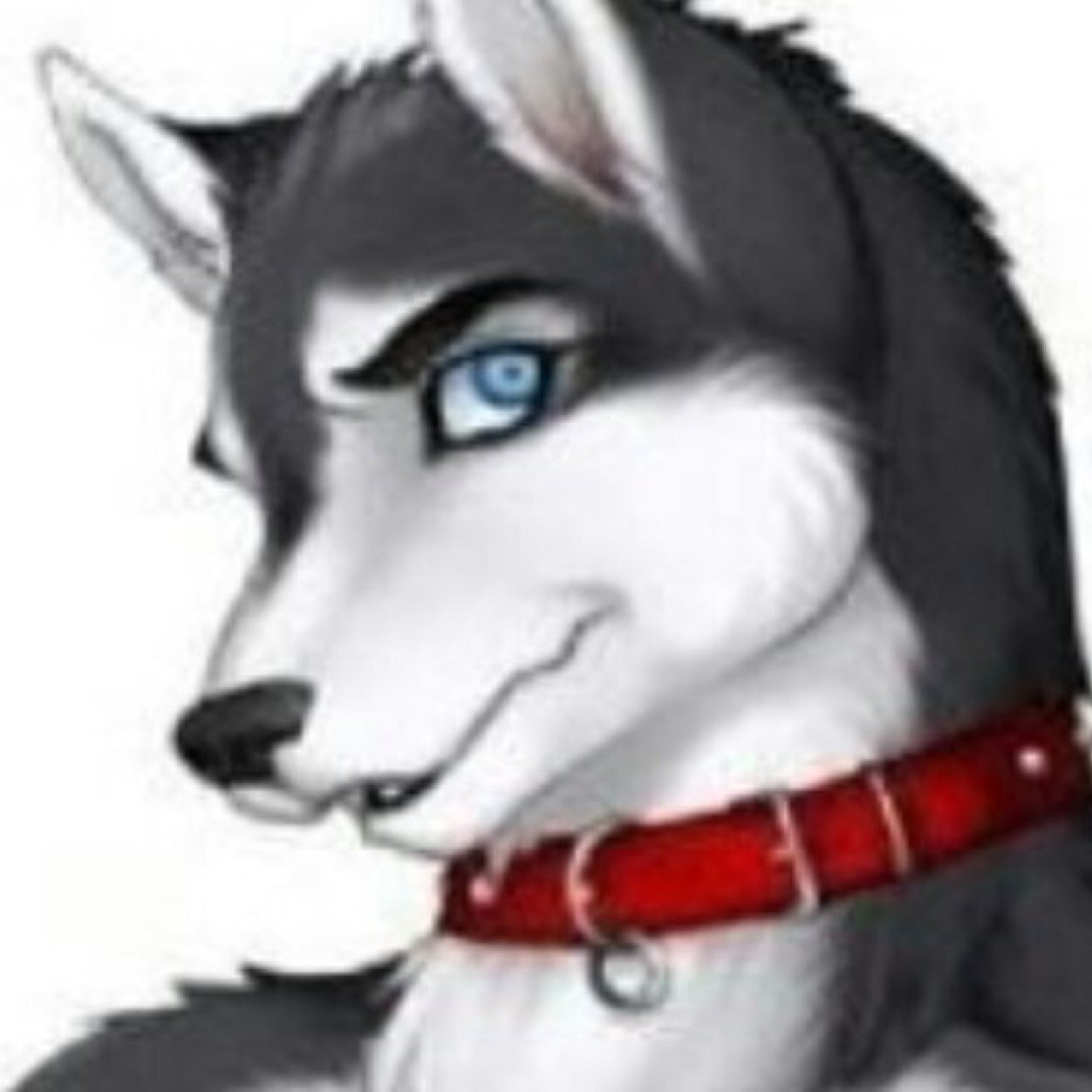 The one and only Lightning Wolf Jack  im not your average wolf {straight}{RP}