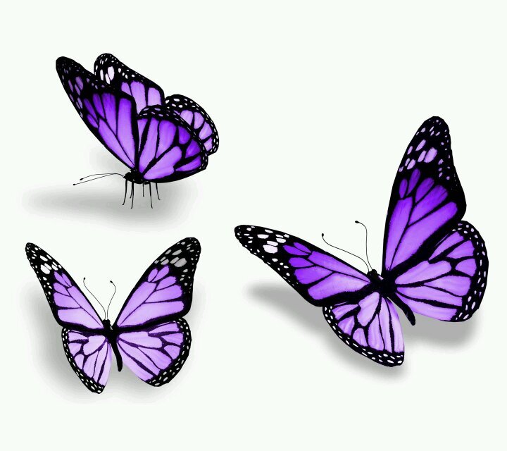 ‏‏‏‏‏‏‏‏‏‏‏‏‏‏‏‏‏‏‏الصمت..فلسفة انتصار..في زمن الانكسار..إلهي اجعلنا صامتين عن النميمة.