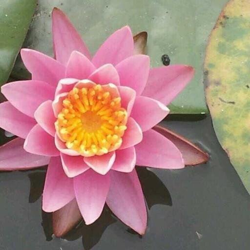 여행