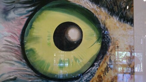 beeluvcann's profile picture. 아무것도 나와 함께 특별 ..