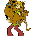 Adam Grey - @AdamGreyLH - Twitter