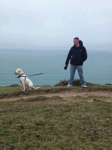 cjjsouch's profile picture. helicopter engineer live in cornwall. love cars me dog and me wife ;)