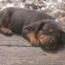 Mandy Straw - @MandyStraw - Twitter