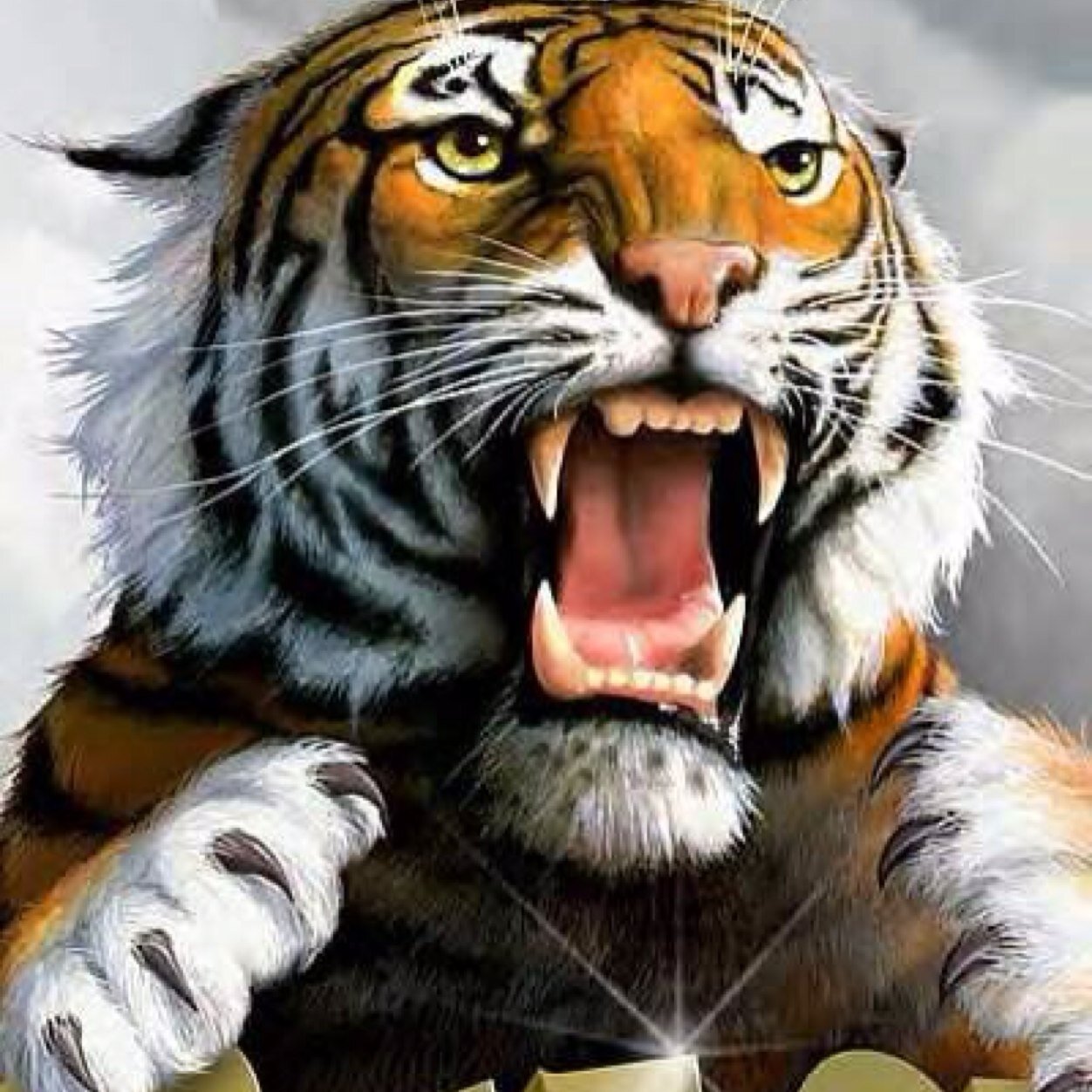 mbwwap63's profile picture. 