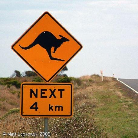 Des conseils, des expériences, des astuces, des news ... Bref, tout ce qu'on veut savoir sur l'Australie