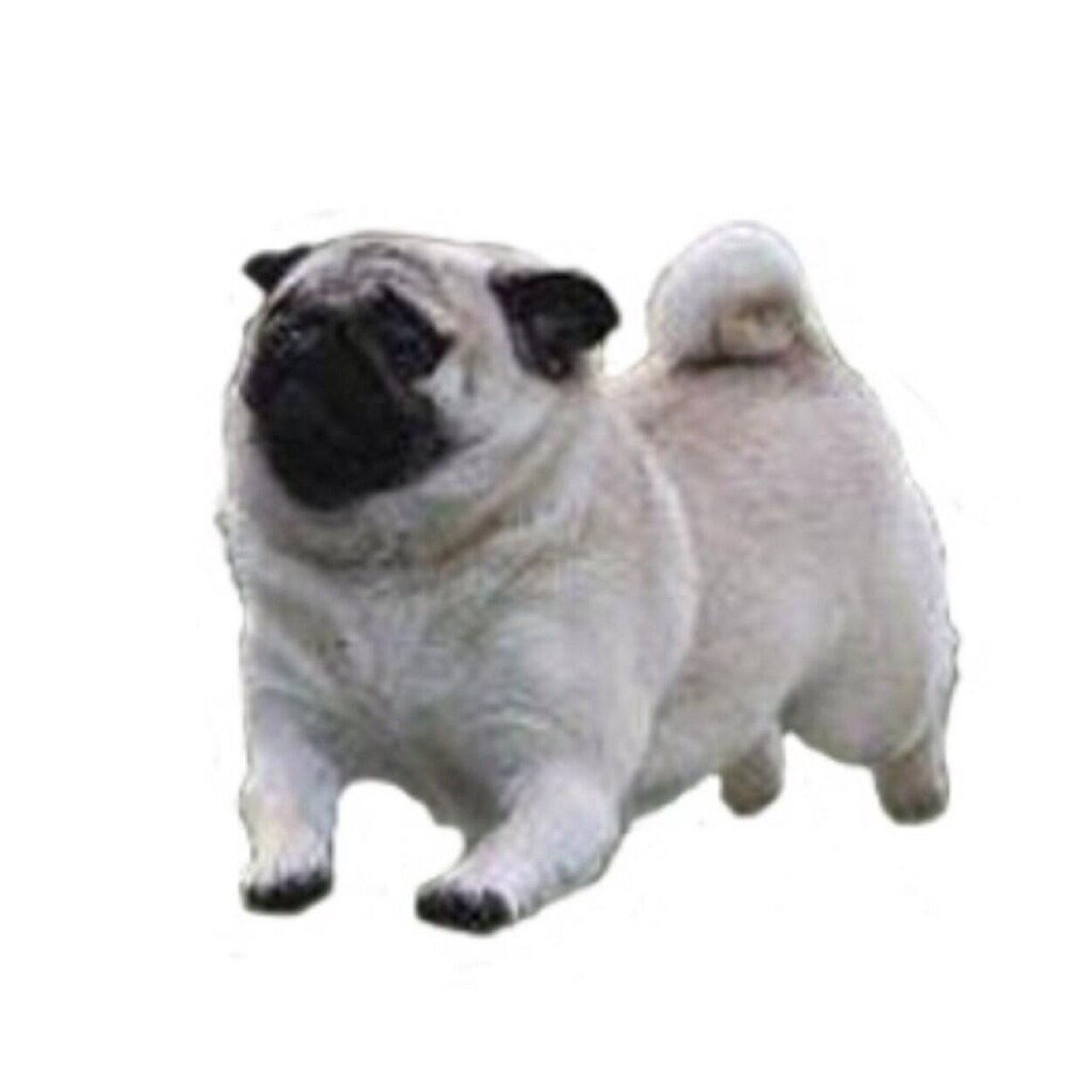 stayposii's profile picture. FREE FOLLOW FROM @earthtojenz & @asitisnt !! PLS FOLLOW