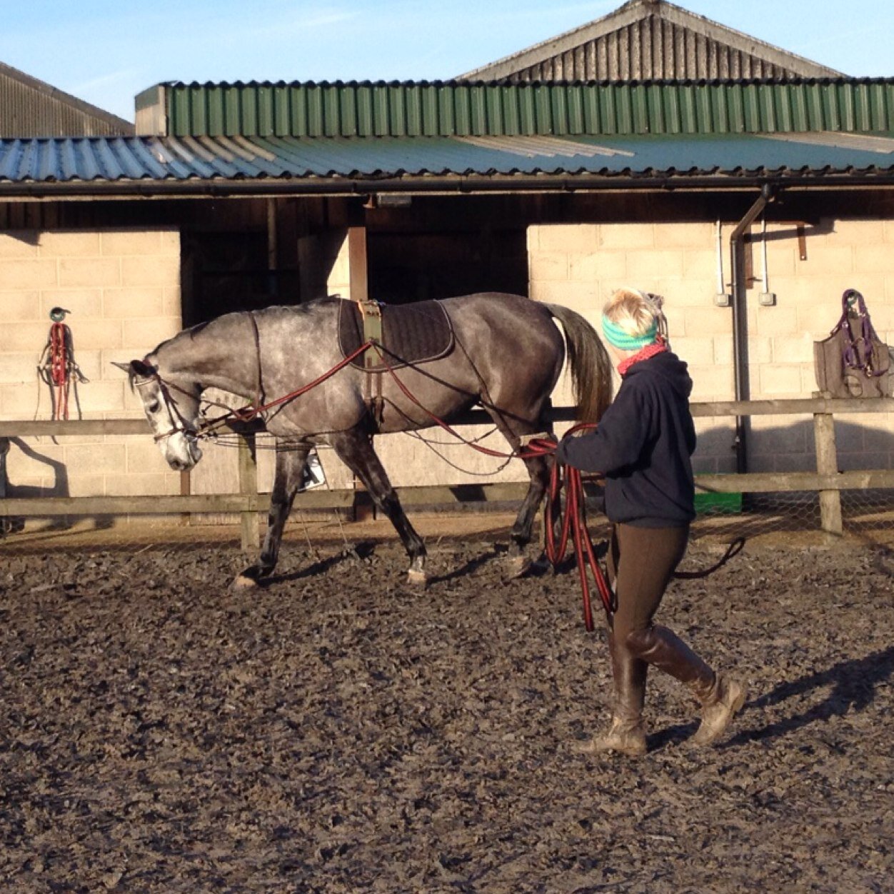 SD_VetPhysio's profile picture. Veterinary Physiotherapy- Equine and Canine practice call/text 07999098138 or Email stephaniedootson@gmail.com