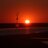 rock_harbor's profile image