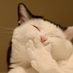 ratch (@piyawatcha) Twitter profile photo ratch (@piyawatcha) Twitter profile photo