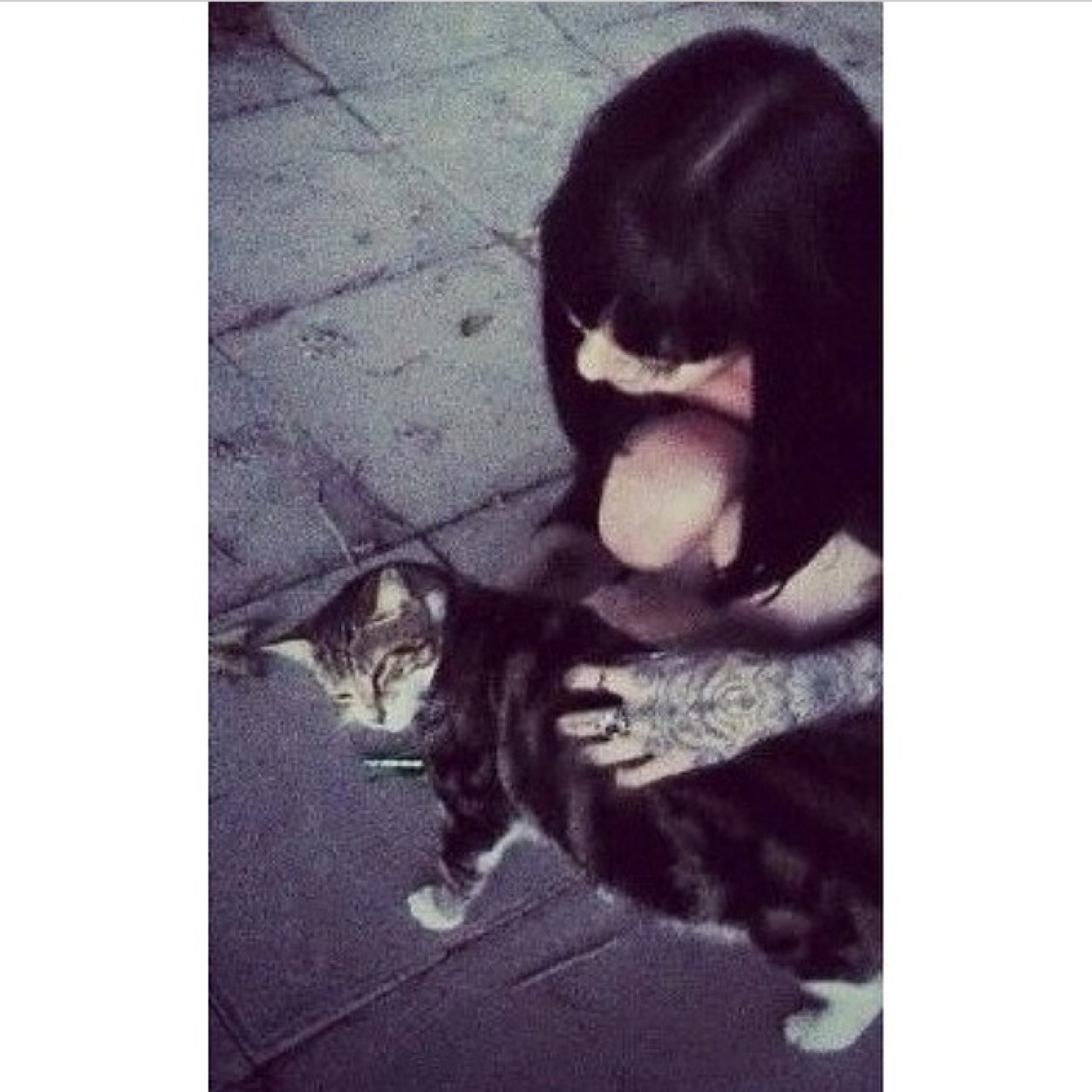 bringmethefalse's profile picture. Back up for @sortagaskarth.