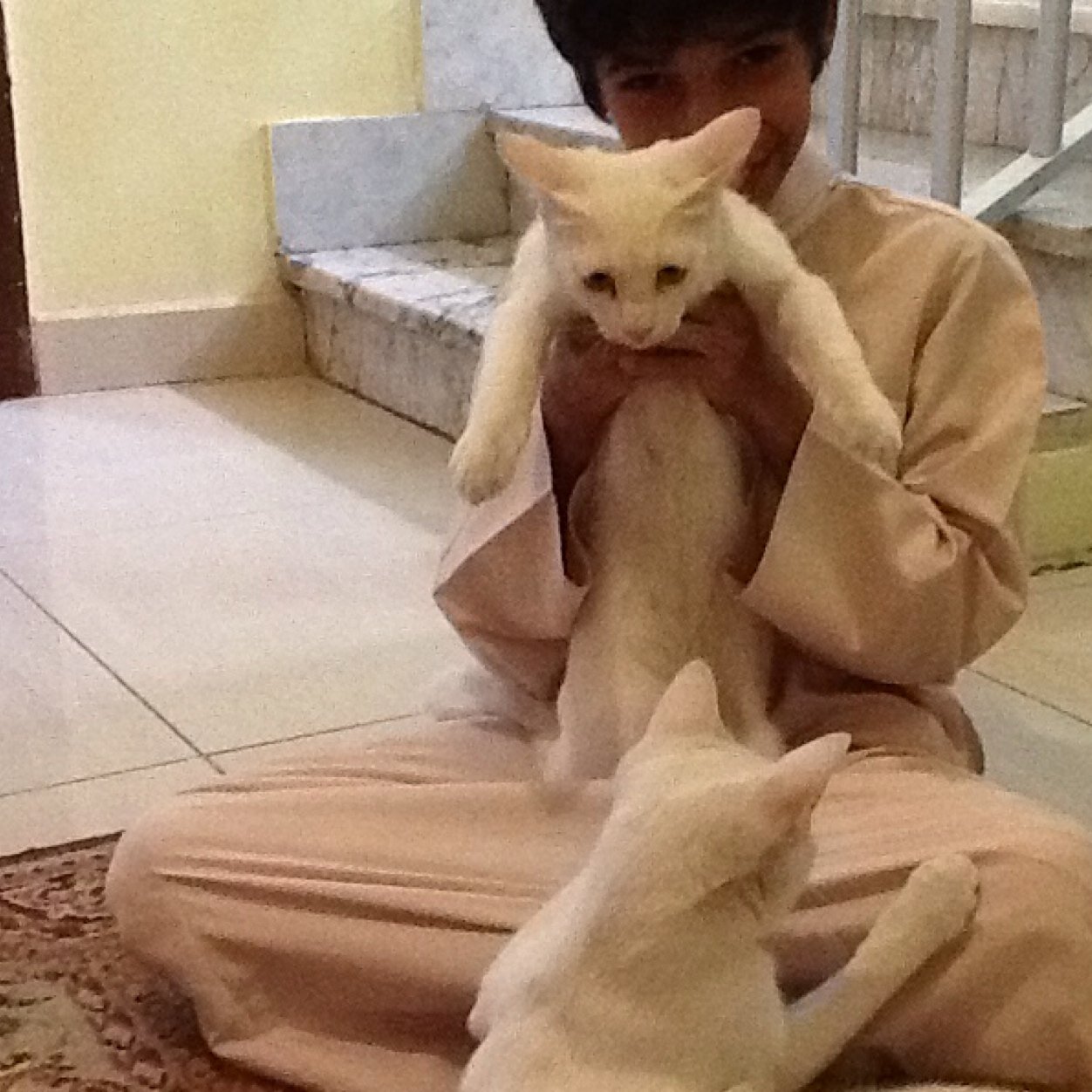 اسمي موسى راشد العمر 12 عندي قنات يو تيوب http://t.co/gOXsLXL06w