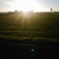 TAK (@tak_ktt_solana) Twitter profile photo