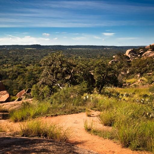 ___texas's profile picture. 