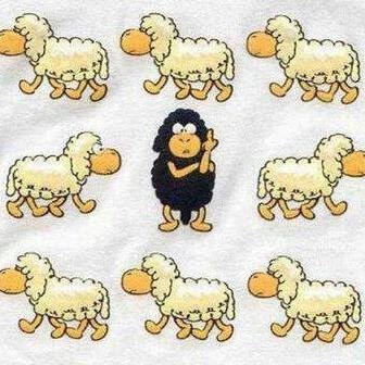 txuscg's profile picture. 