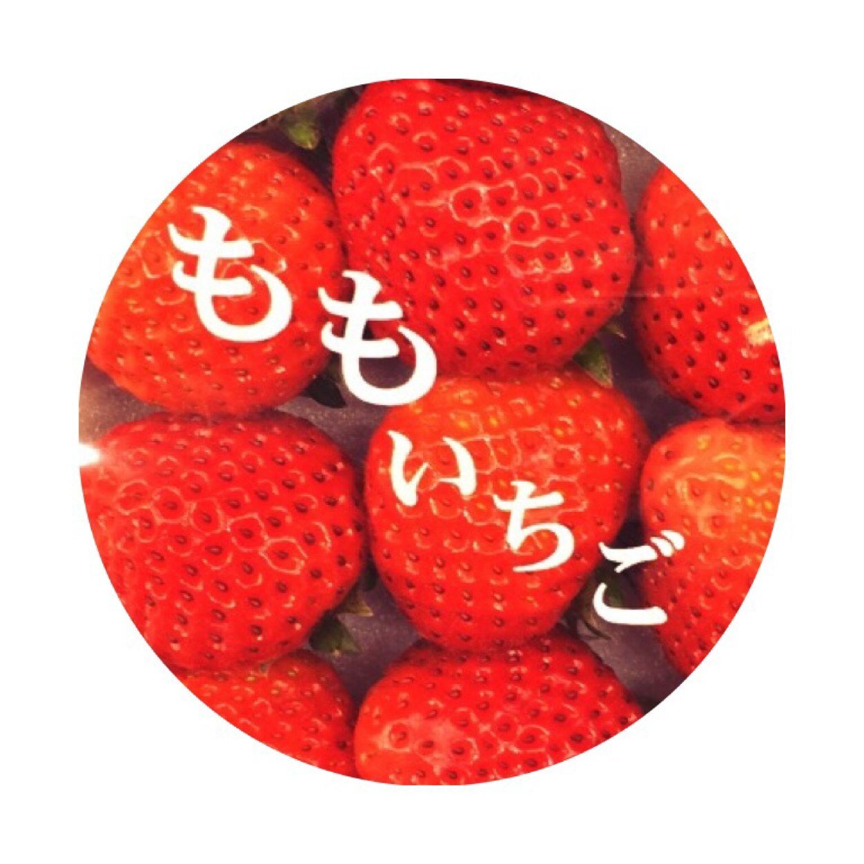 15さんのプロフィール画像