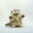 benjamin ayala - @benjami61451533 - Twitter