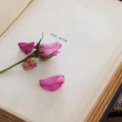 Hopeful writer of fiction & poetry. Admirer of Jane Austen. Enchanted Anglophile. Lover of flower gardens. Always searching for inspiration-never disappointed.