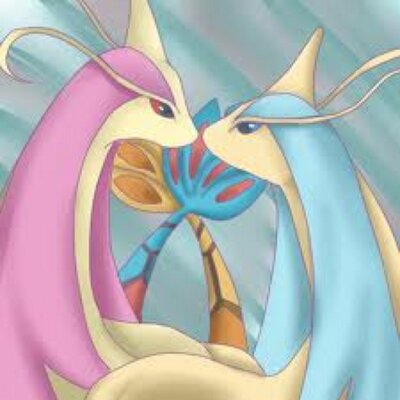 Miro Love ミロカロスメガ進化 水フェアリー 特性みわく 相手のとくこうを一段階下げる 種族値 1 60 80 1 140 100 新技蝶の舞シャイン等 メガストーン入手方法wi Fi配布 これでどうかお願いします任天堂様 Twitter