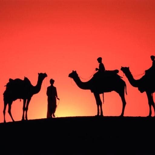 Get the cheapest holiday packages for Rajasthan India..... Guaranteed!!