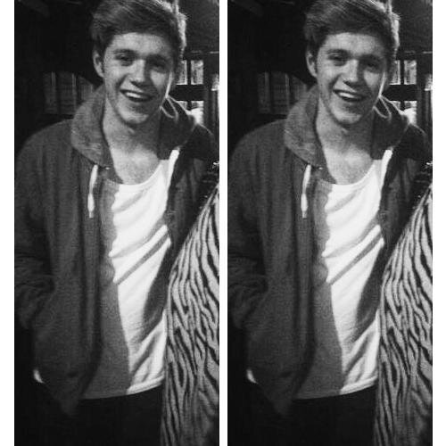 Hey, I'm Niall. Wassuuuuuuup????