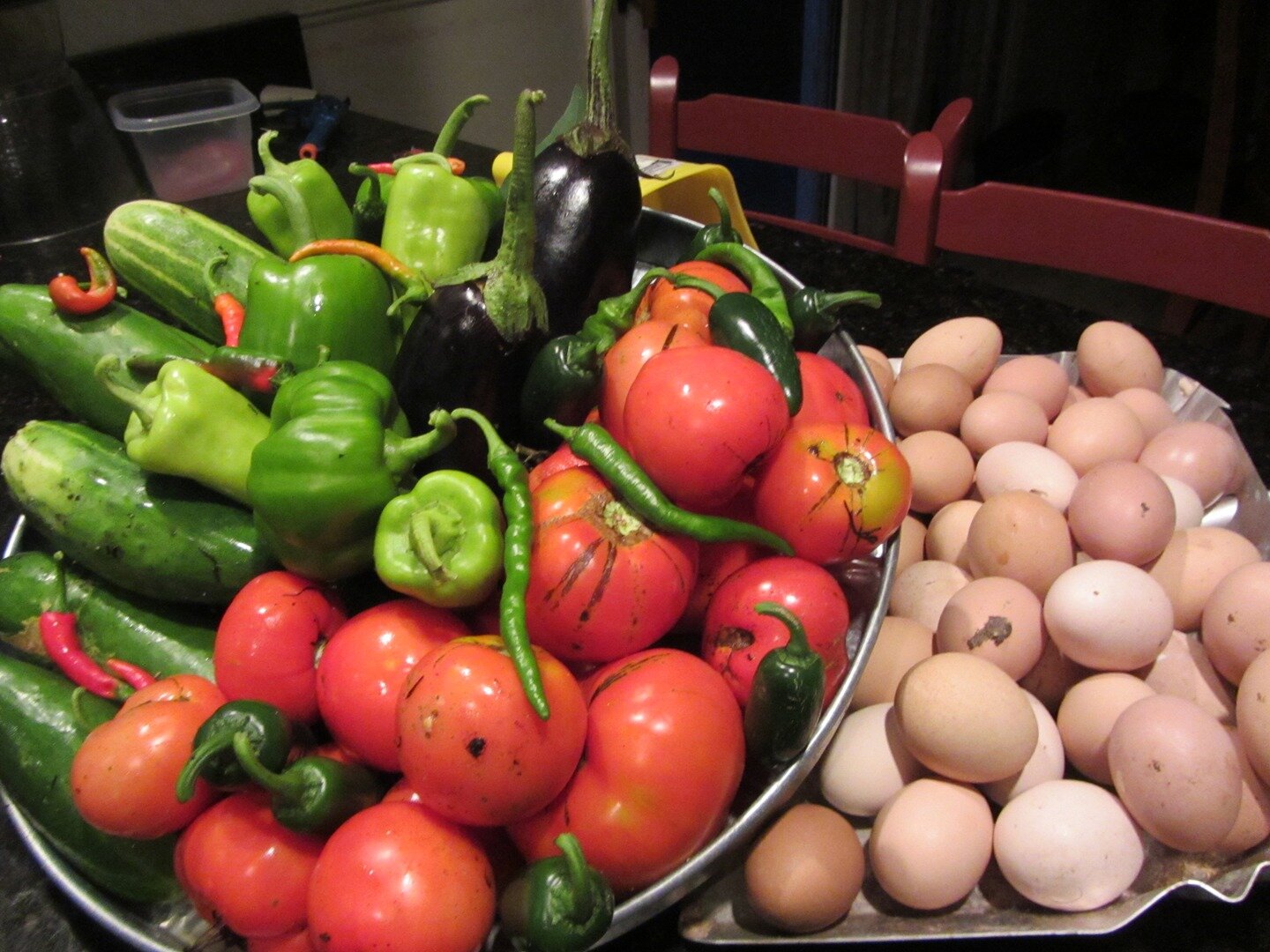 Award-winning chef, foodie, backyard farmer, boxer lover
