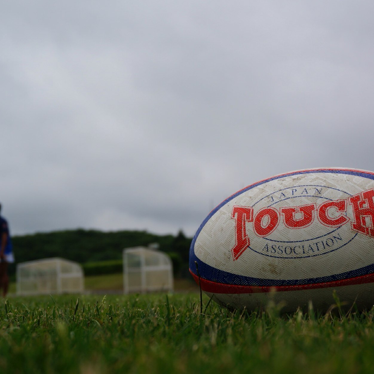 legucub's profile picture. タッチ狂