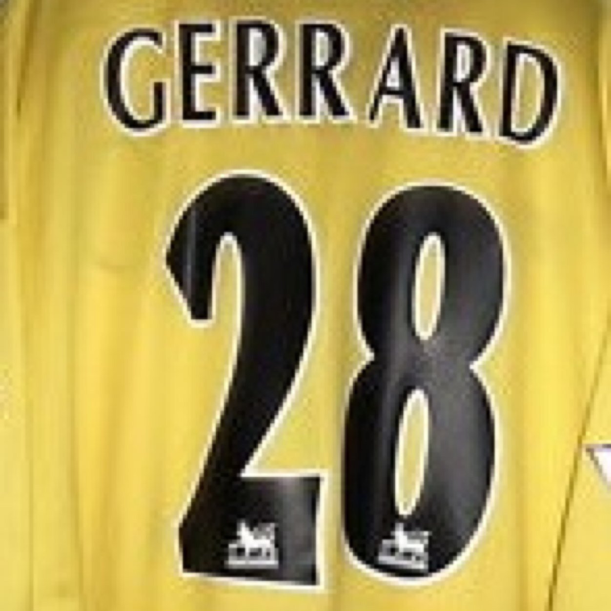 QuizSquad's profile picture. 